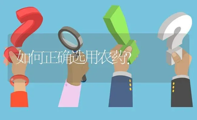 如何正确选用农药? | 养殖问题解答