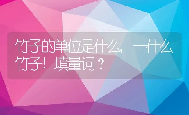 竹子的单位是什么,一什么竹子!填量词？ | 养殖常见问题