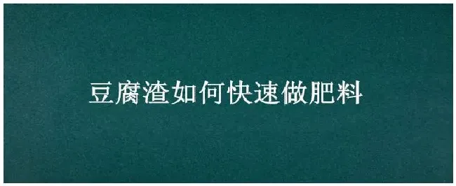 豆腐渣如何快速做肥料 | 农业常识