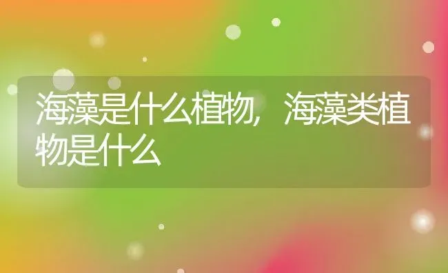 海藻是什么植物,海藻类植物是什么 | 养殖常见问题