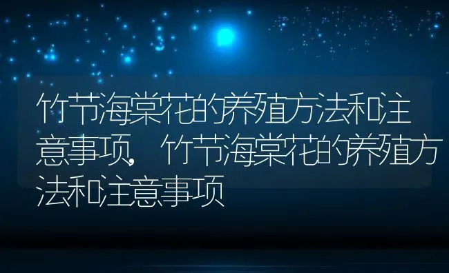 竹节海棠花的养殖方法和注意事项,竹节海棠花的养殖方法和注意事项 | 养殖常见问题