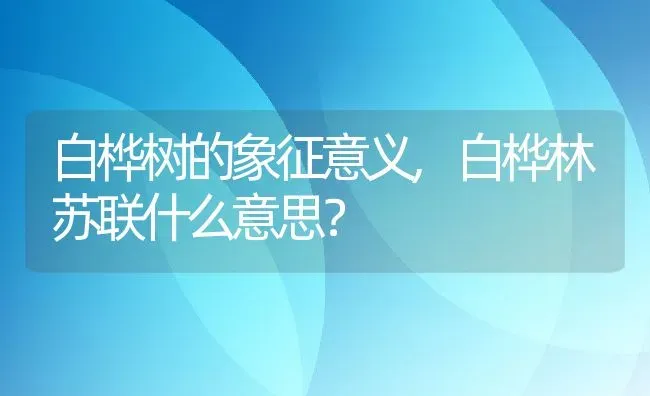 白桦树的象征意义,白桦林苏联什么意思？ | 养殖常见问题