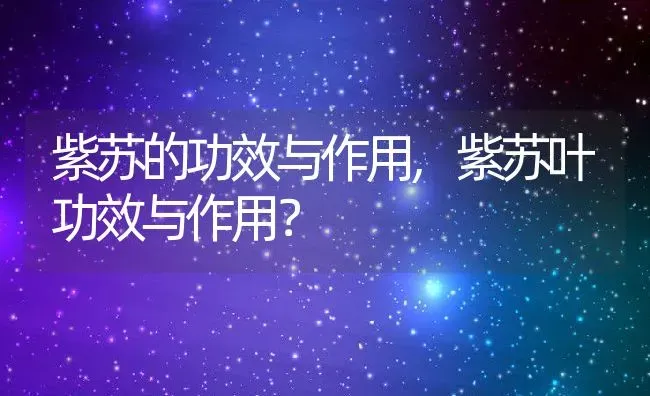 紫苏的功效与作用,紫苏叶功效与作用？ | 养殖常见问题