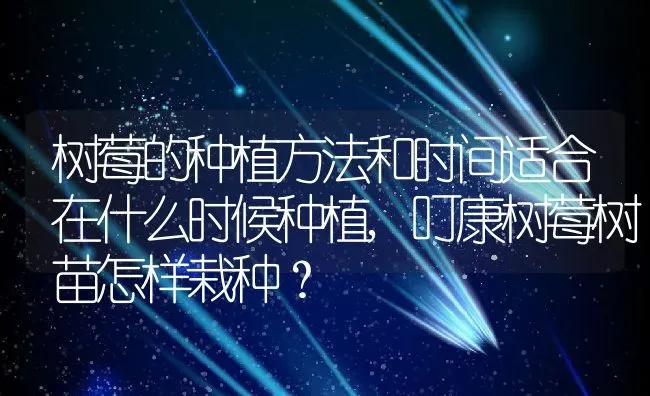 树莓的种植方法和时间适合在什么时候种植,叮康树莓树苗怎样栽种？ | 养殖常见问题