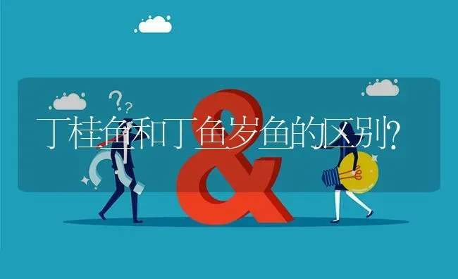 丁桂鱼和丁鱼岁鱼的区别? | 养殖问题解答