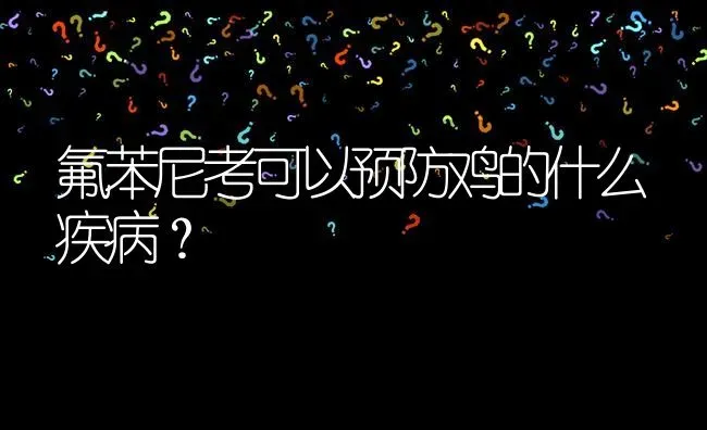 氟苯尼考可以预防鸡的什么疾病? | 养殖问题解答