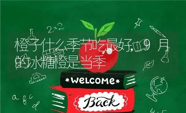 橙子什么季节吃最好,9月的冰糖橙是当季 | 养殖常见问题