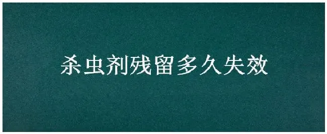 杀虫剂残留多久失效 | 生活常识