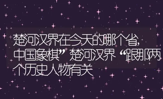 楚河汉界在今天的哪个省,中国象棋”楚河汉界“跟那两个历史人物有关 | 养殖常见问题