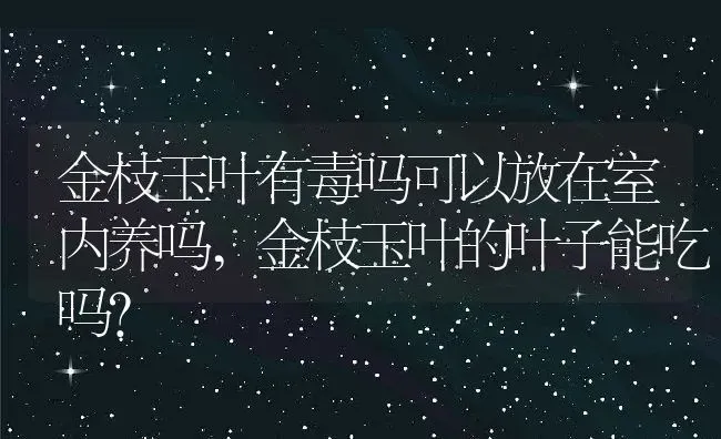 金枝玉叶有毒吗可以放在室内养吗,金枝玉叶的叶子能吃吗？ | 养殖常见问题