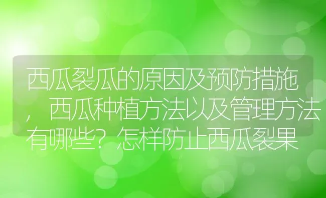 西瓜裂瓜的原因及预防措施,西瓜种植方法以及管理方法有哪些？怎样防止西瓜裂果 | 养殖常见问题
