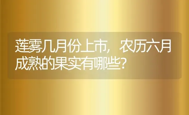 莲雾几月份上市,农历六月成熟的果实有哪些？ | 养殖常见问题