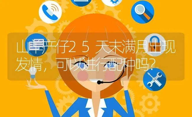 山羊产仔25天末满月出现发情,可以进行配种吗? | 养殖问题解答