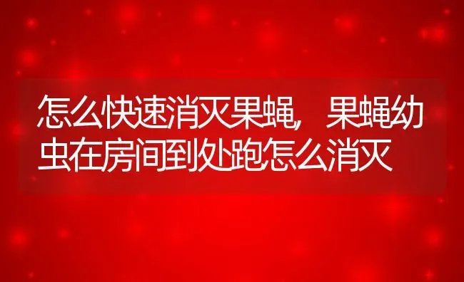 玉树能嫁接蟹爪兰吗?,蟹爪兰嫁接玉树怎么养？ | 养殖常见问题