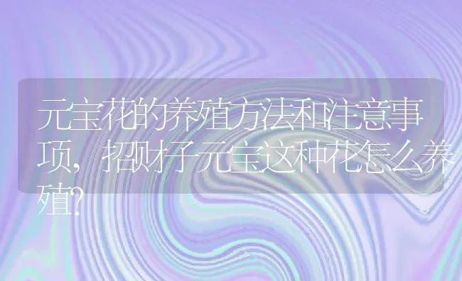 元宝花的养殖方法和注意事项,招财子元宝这种花怎么养殖？ | 养殖常见问题