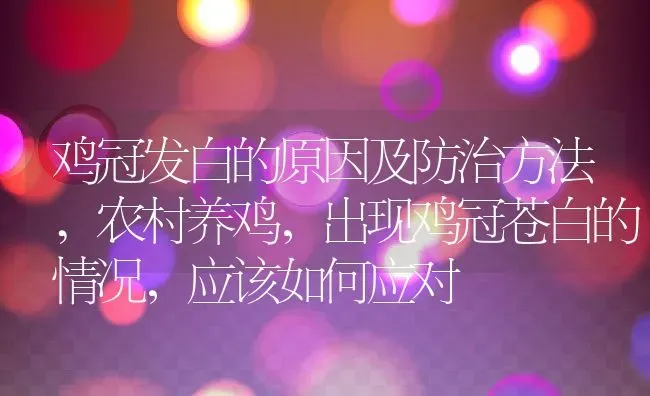 鸡冠发白的原因及防治方法,农村养鸡，出现鸡冠苍白的情况，应该如何应对 | 养殖常见问题
