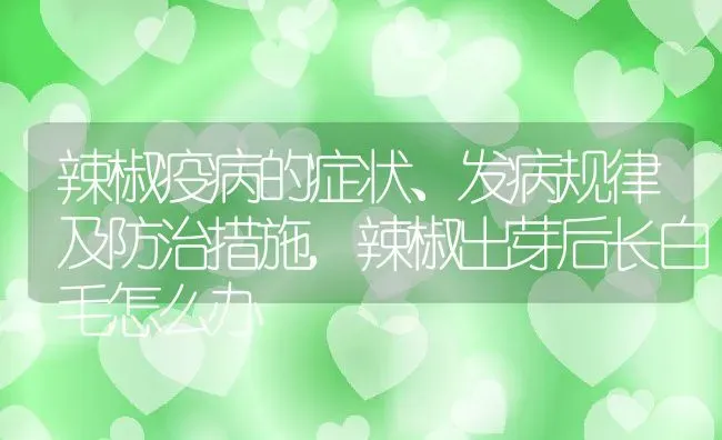 辣椒疫病的症状、发病规律及防治措施,辣椒出芽后长白毛怎么办 | 养殖常见问题