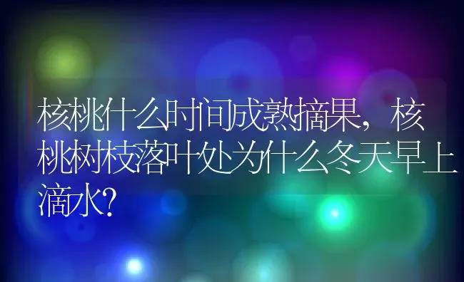 核桃什么时间成熟摘果,核桃树枝落叶处为什么冬天早上滴水？ | 养殖常见问题