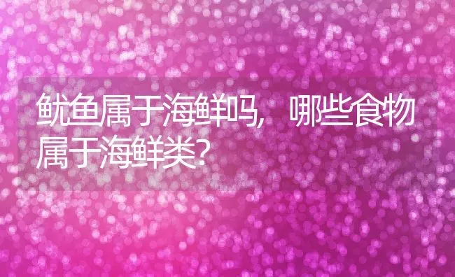 鱿鱼属于海鲜吗,哪些食物属于海鲜类？ | 养殖常见问题
