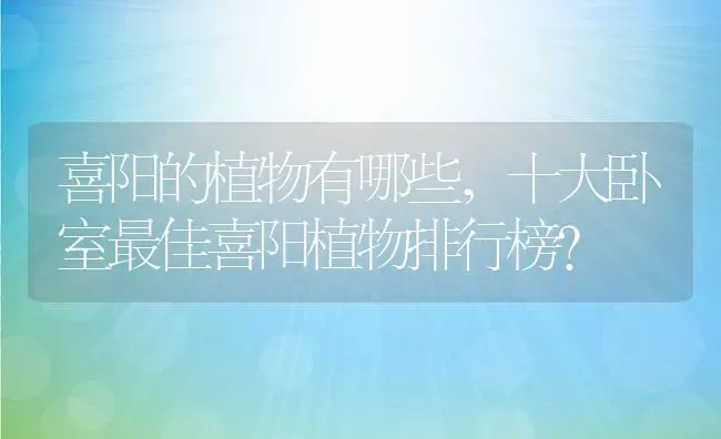 喜阳的植物有哪些,十大卧室最佳喜阳植物排行榜？ | 养殖常见问题