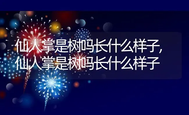 仙人掌是树吗长什么样子,仙人掌是树吗长什么样子 | 养殖常见问题