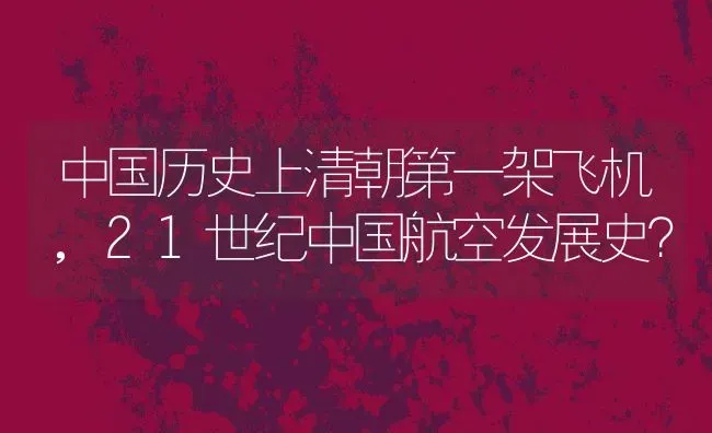 中国历史上清朝第一架飞机,21世纪中国航空发展史？ | 养殖常见问题