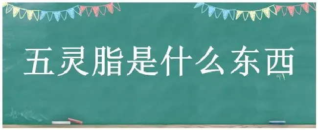 五灵脂是什么东西 | 农业答疑