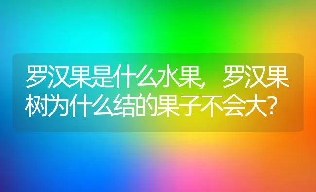 罗汉果是什么水果,罗汉果树为什么结的果子不会大？ | 养殖常见问题