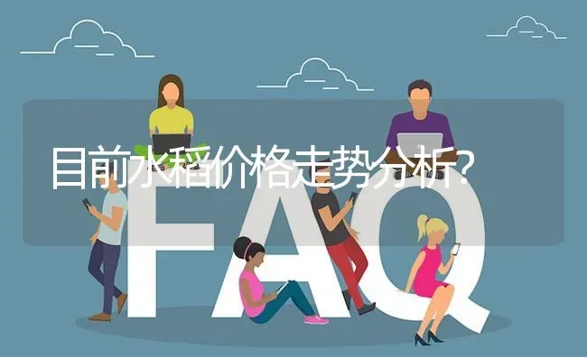 目前水稻价格走势分析? | 养殖问题解答