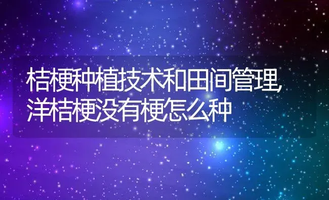 桔梗种植技术和田间管理,洋桔梗没有梗怎么种 | 养殖常见问题