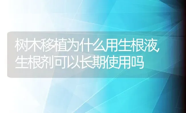 树木移植为什么用生根液,生根剂可以长期使用吗 | 养殖常见问题