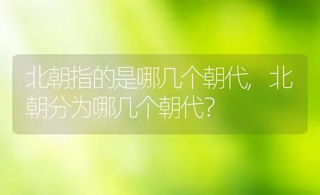 北朝指的是哪几个朝代,北朝分为哪几个朝代？ | 养殖常见问题