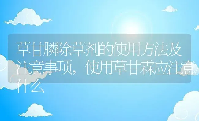 草甘膦除草剂的使用方法及注意事项,使用草甘霖应注意什么 | 养殖常见问题