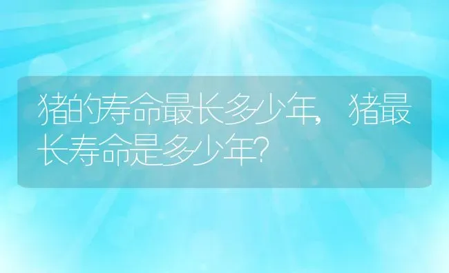 猪的寿命最长多少年,猪最长寿命是多少年？ | 养殖常见问题