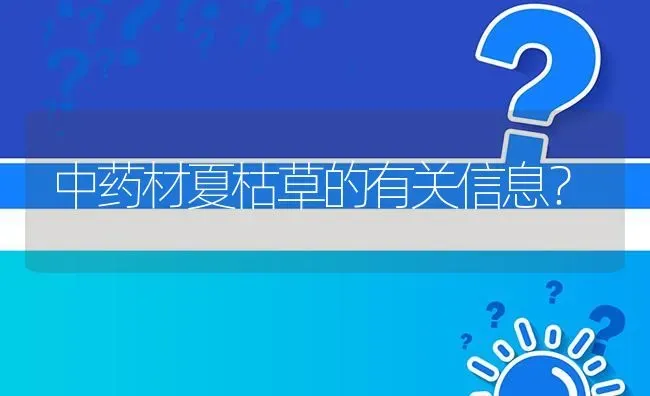 中药材夏枯草的有关信息? | 养殖问题解答