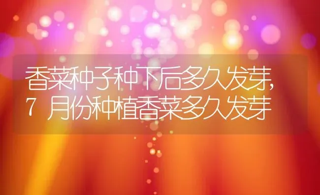 香菜种子种下后多久发芽,7月份种植香菜多久发芽 | 养殖常见问题