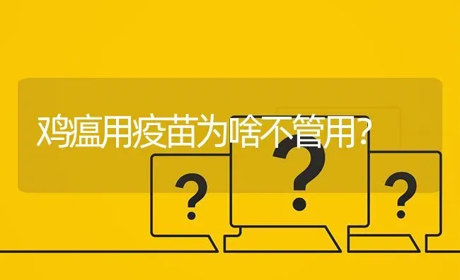 鸡瘟用疫苗为啥不管用? | 养殖问题解答
