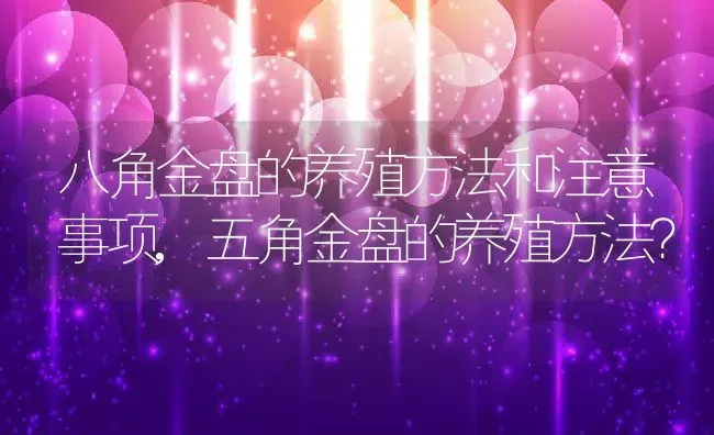 八角金盘的养殖方法和注意事项,五角金盘的养殖方法？ | 养殖常见问题