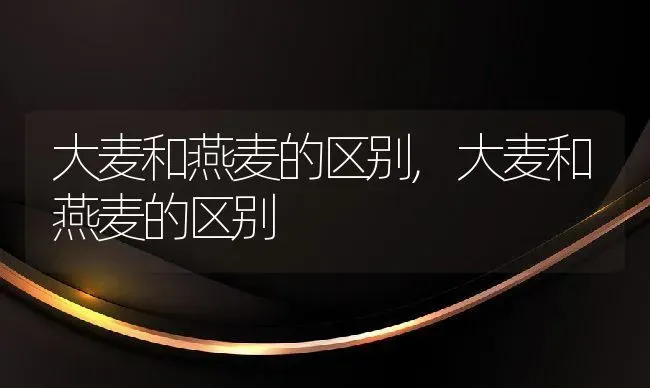 大麦和燕麦的区别,大麦和燕麦的区别 | 养殖常见问题