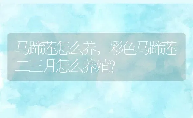 马蹄莲怎么养,彩色马蹄莲二三月怎么养殖？ | 养殖常见问题