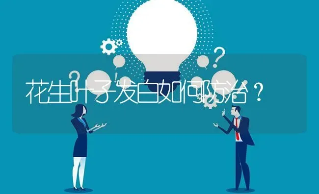 花生叶子发白如何防治? | 养殖问题解答