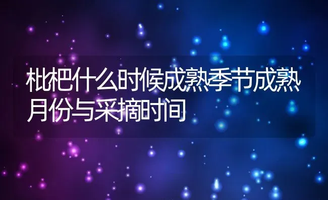 枇杷什么时候成熟季节成熟月份与采摘时间 | 养殖常见问题