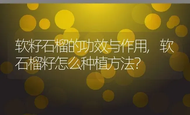 软籽石榴的功效与作用,软石榴籽怎么种植方法？ | 养殖常见问题
