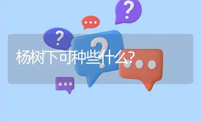 杨树下可种些什么? | 养殖问题解答