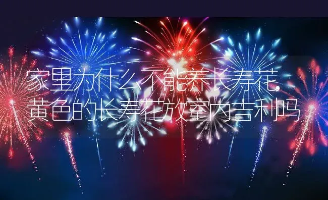 家里为什么不能养长寿花,黄色的长寿花放室内吉利吗 | 养殖常见问题