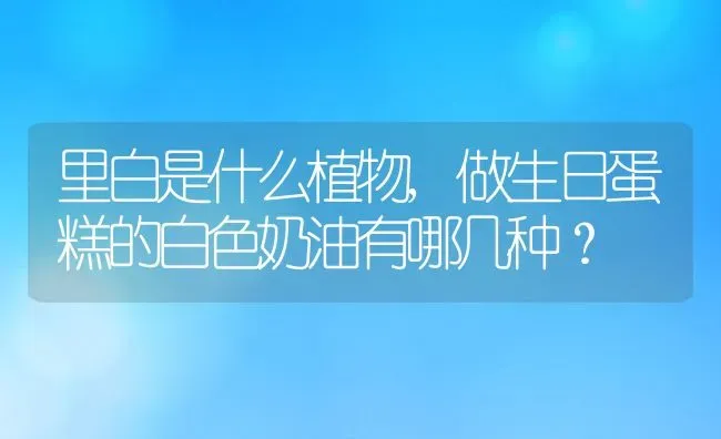 里白是什么植物,做生日蛋糕的白色奶油有哪几种？ | 养殖常见问题