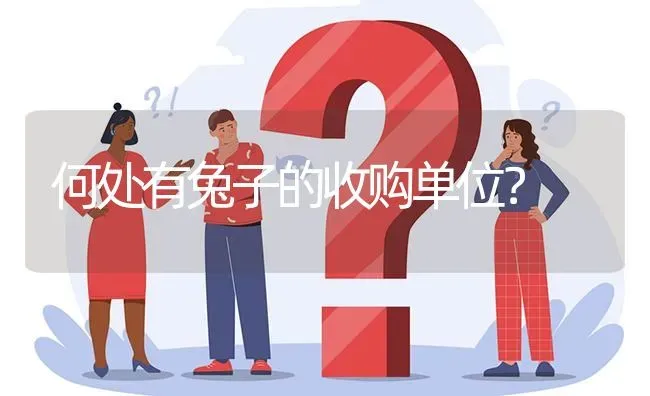 何处有兔子的收购单位? | 养殖问题解答