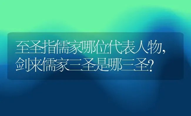 至圣指儒家哪位代表人物,剑来儒家三圣是哪三圣？ | 养殖常见问题