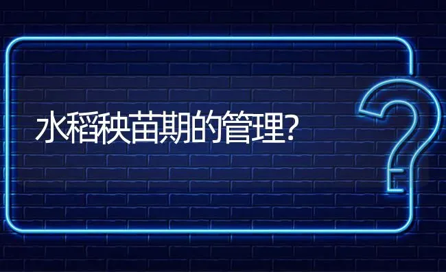 水稻秧苗期的管理? | 养殖问题解答