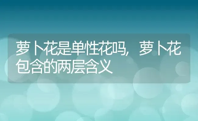 萝卜花是单性花吗,萝卜花包含的两层含义 | 养殖常见问题